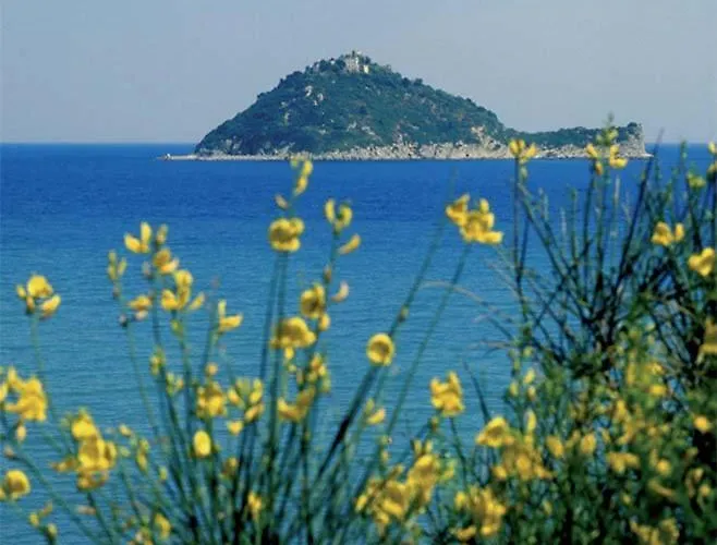 Raggio Di Sole *